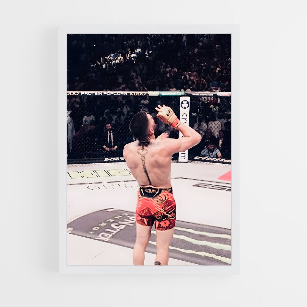 Poster Ilia de topuria – affiche MMA (vue 3)
